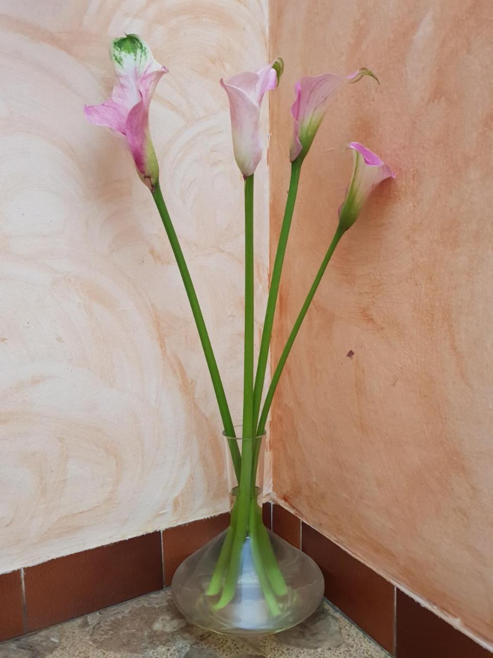 Hostal Pampaneira Dış mekan fotoğraf
