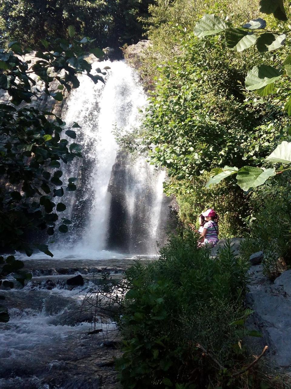 Hostal Pampaneira Dış mekan fotoğraf
